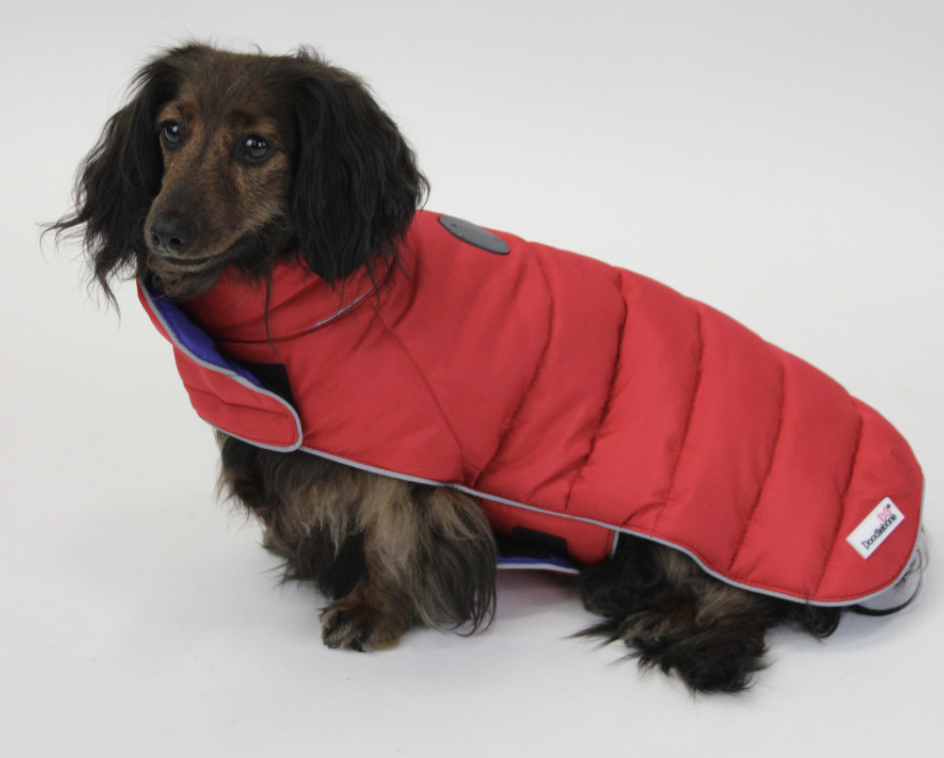Doodlebone puffer jacket sales